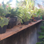 Bom Aderezo Exterior