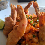 Caramujo Cibo