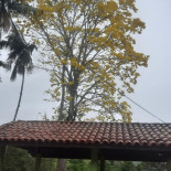 Tempero Da Nega Cordeiro Rj Extérieur