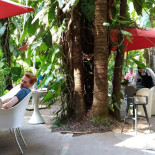 Tamboril