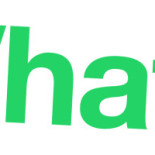 Point Paraense Logo