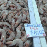 Do Jé Carta