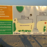 Tartaruga Carte