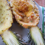 Tartaruga Nourriture