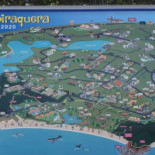 Tartaruga Carte