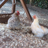 Reserva Pekin Extérieur