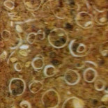 Pizzaria Nordestina Comida