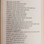 Caldinho Batista Carte