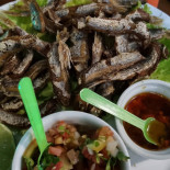 Broncos Comida