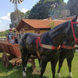 Rancho Do Ipê Exterior