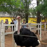 Rancho Do Ipê Exterior