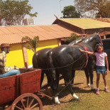 Rancho Do Ipê Exterior