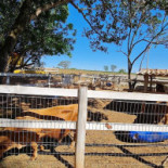 Rancho Do Ipê Exterior