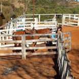 Rancho Do Ipê Exterior