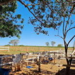 Rancho Do Ipê Exterior