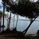 Praia Do Guajará Exterior