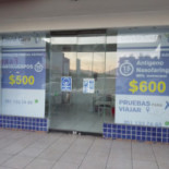 511 Pizzaria Carte