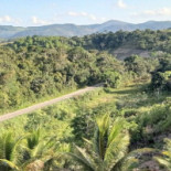 ão Da Mata Extérieur