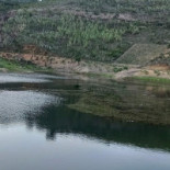 ão Da Mata Extérieur