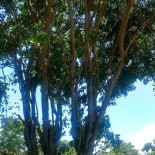 Vale Verde Exterior