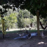 Origem Da Roça Extérieur
