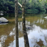 Origem Da Roça Extérieur