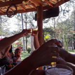 Origem Da Roça Boisson