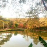 Pesqueiro Campestre Exterior