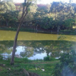 Pesqueiro Campestre Exterior