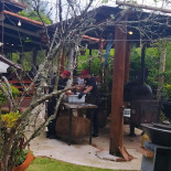 Lion Bbq Extérieur