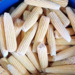 Pamonharia Tocantins Nourriture