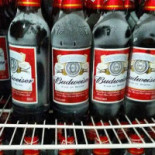 Nova Era Boisson