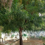 Clube Do Racha Extérieur