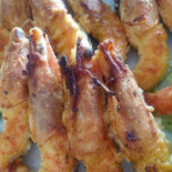 Concha Das Ostras Nourriture