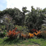 Vila Galícia Extérieur