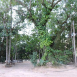 Três Cachoeiras Extérieur
