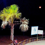 Farol Da Ilha Boisson