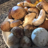 Junto E Misturado Espetinho E Caldo Bebida