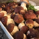 Junto E Misturado Espetinho E Caldo Comida
