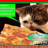 Pizzaria Tarantella Carte