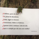 Camells Pizaria Carte