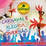 Churrascaria Seringal Logo