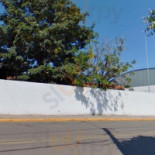 Padoca Dedo De Moca Extérieur