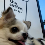 The Coffee Boisson