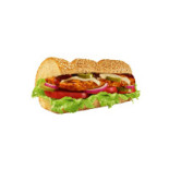 Subway Logo