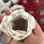 Diário De Um Doce Boisson