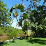 Paraiso Dos Coqueirais Exterior
