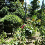 Paraiso Dos Coqueirais Exterior