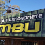 Bambu Extérieur