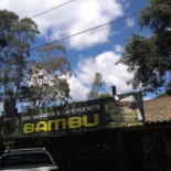 Bambu Extérieur
